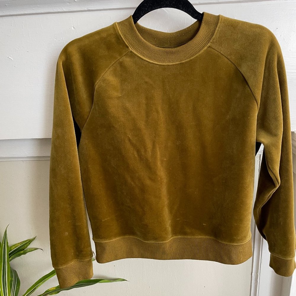 Chartreuse Green Velvet Crew Sweater